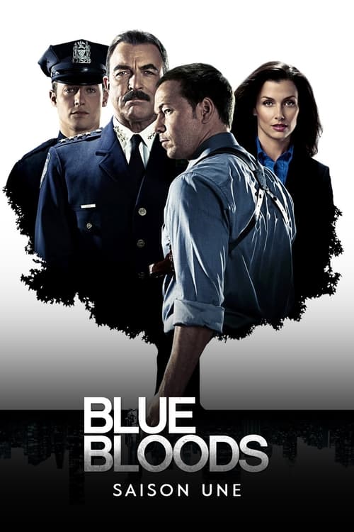 Blue Bloods - Saison 1