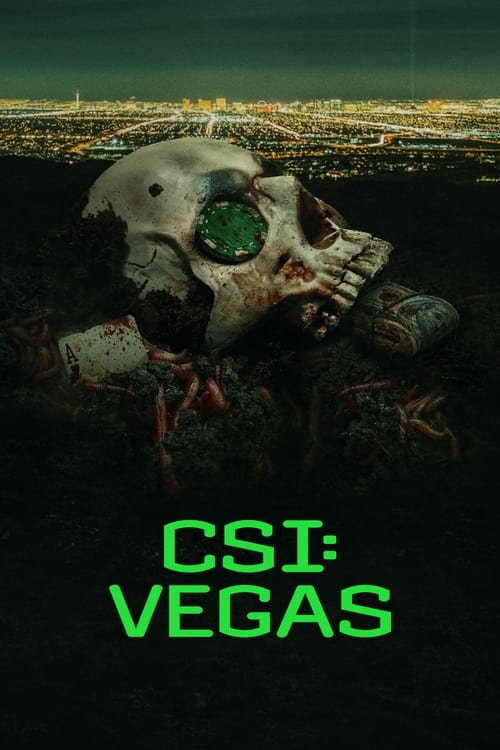 CSI: Vegas - Saison 1