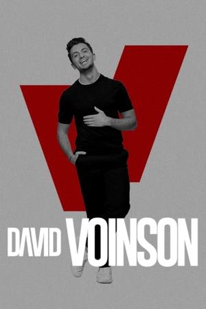 David Voinson en streaming