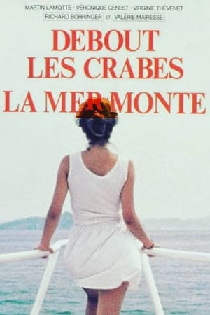 Debout les crabes, la mer monte !