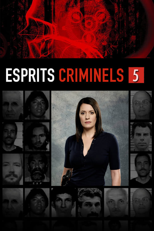 Esprits criminels - Saison 5