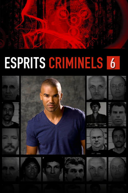 Esprits criminels - Saison 6