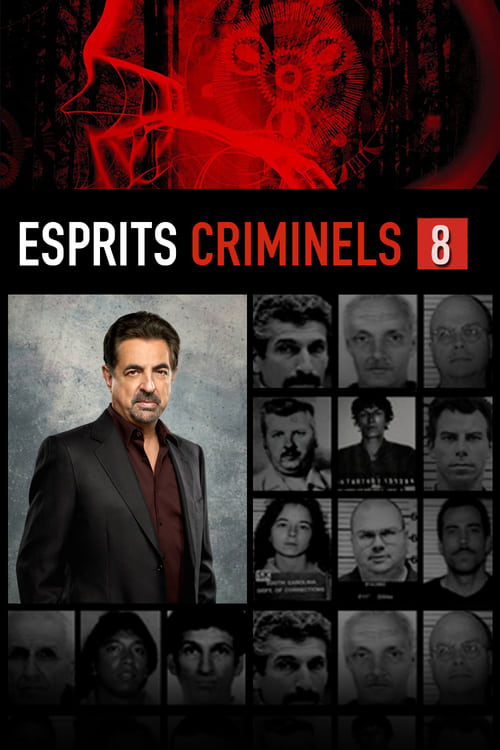 Esprits criminels - Saison 8