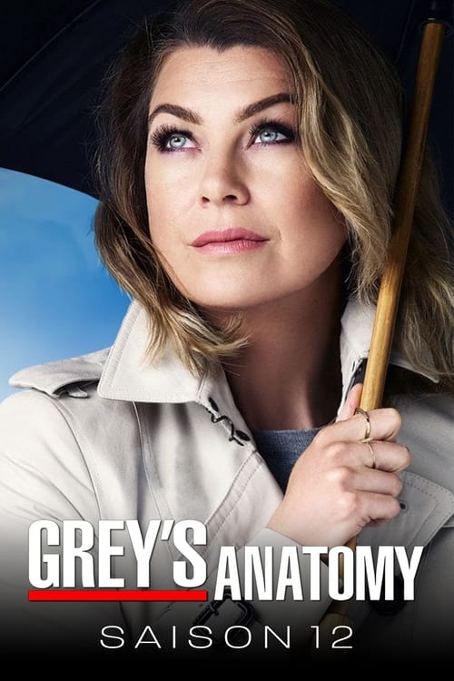 Grey's Anatomy - Saison 12