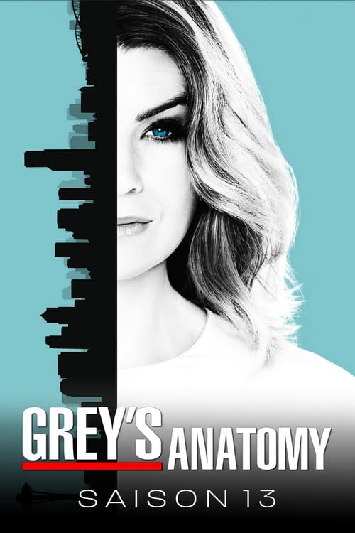 Grey's Anatomy - Saison 13