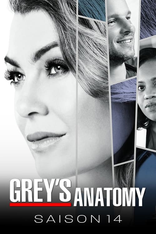 Grey's Anatomy - Saison 14