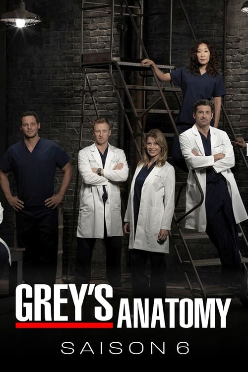 Grey's Anatomy - Saison 6