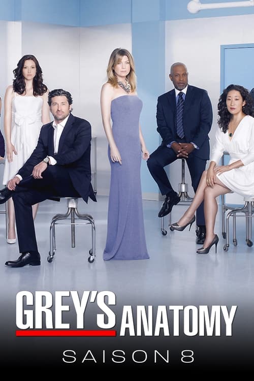 Grey's Anatomy - Saison 8