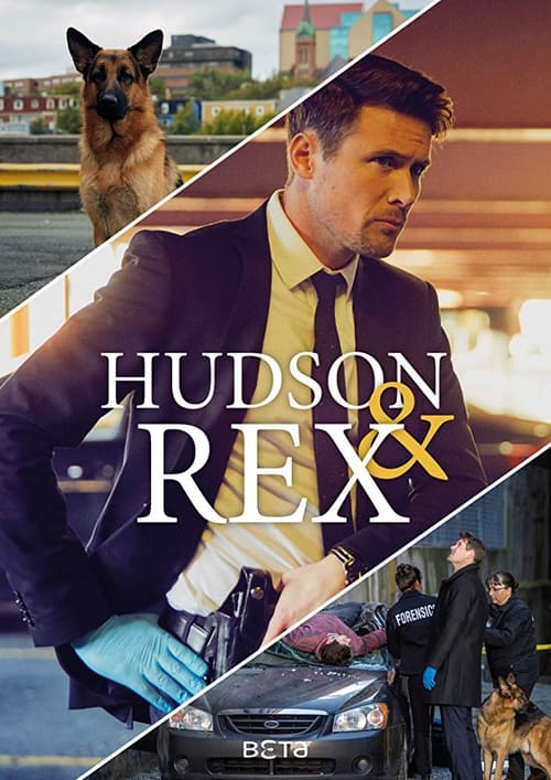 Hudson & Rex - Saison 2