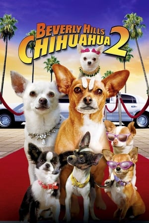 Le Chihuahua de Beverly Hills 2