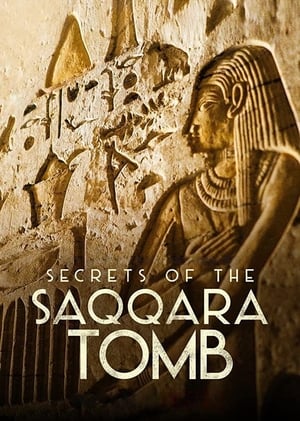 Les Secrets de la Tombe de Saqqarah