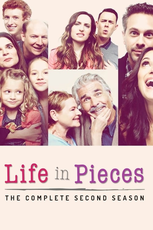 Life In Pieces