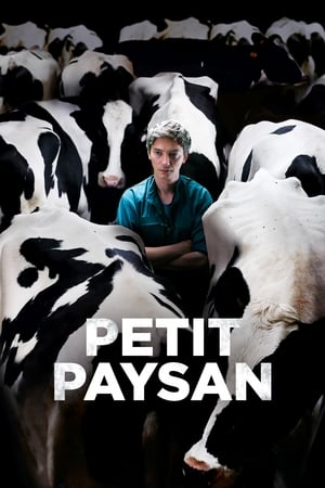 Petit Paysan