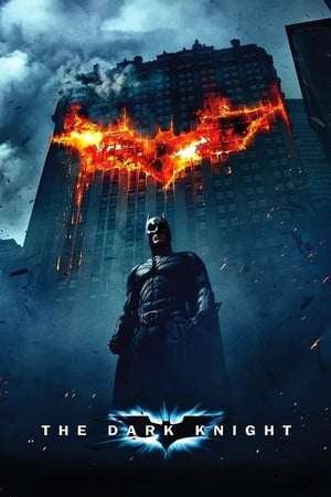 Batman : The Dark Knight, Le Chevalier Noir