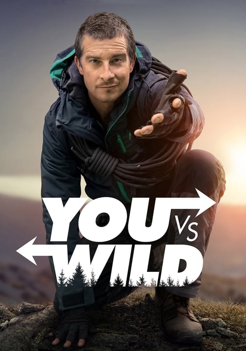 You Vs. Wild